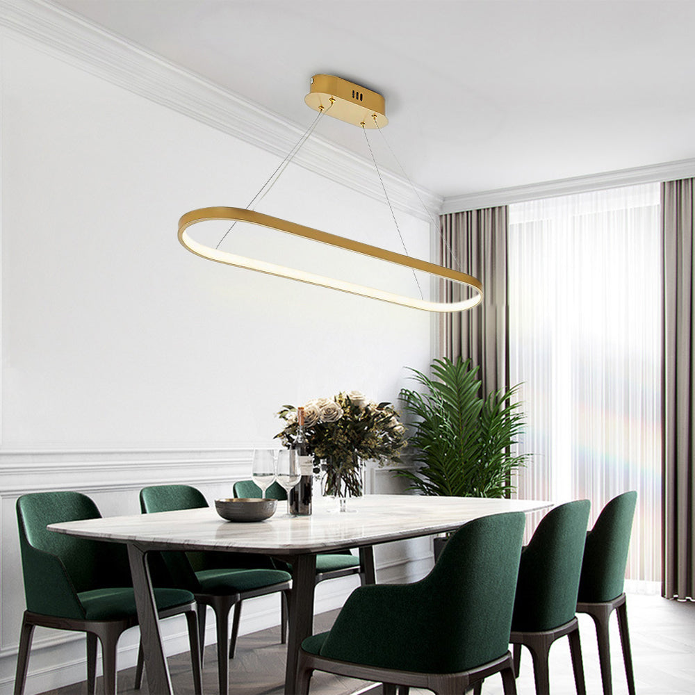 Arisha Oval Minimalist Hanging Pendant Light