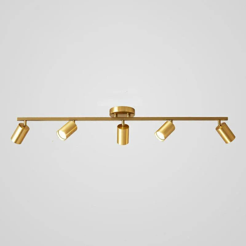 Aim Modern Ceiling Light Spotlight Cast 3 Color 3/4/5/6 Head