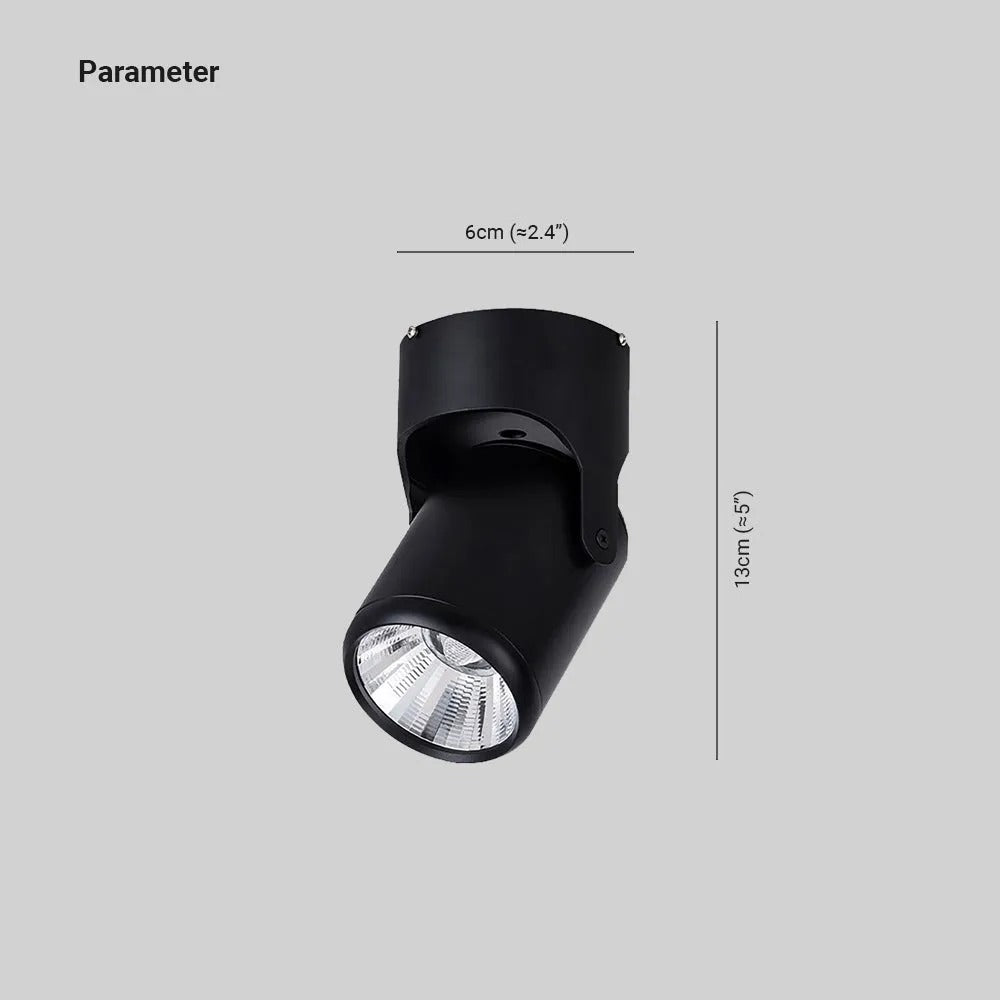 Arisha Simple Rotatable Flush Mount Ceiling LED Spotlight