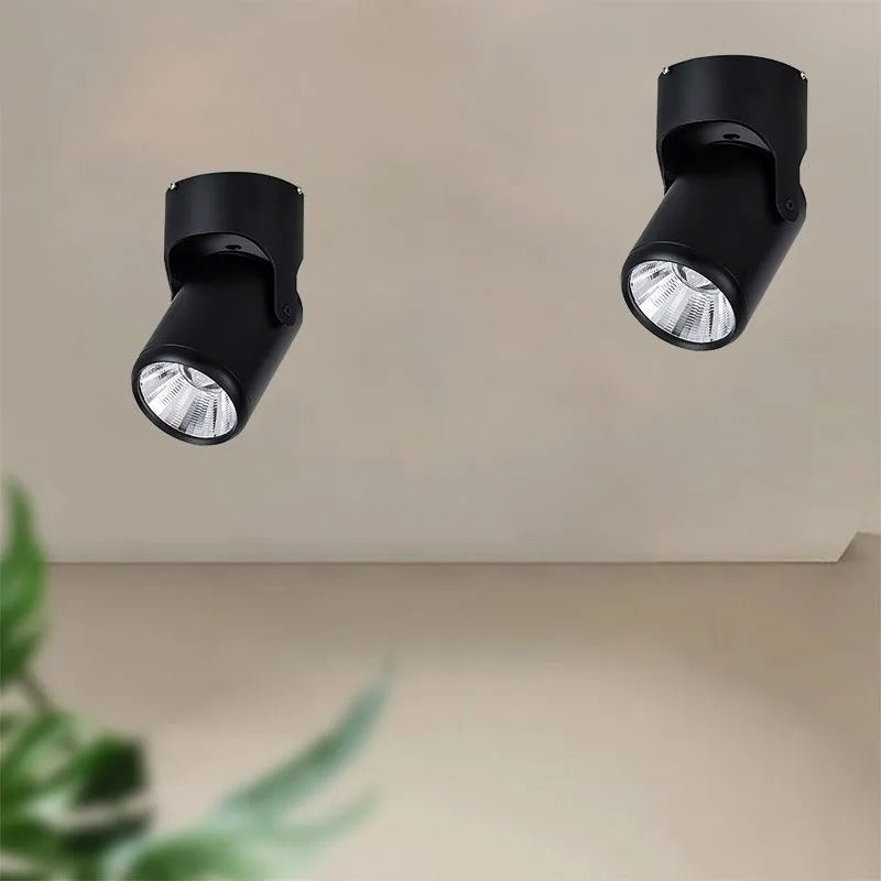 Arisha Simple Rotatable Flush Mount Ceiling LED Spotlight