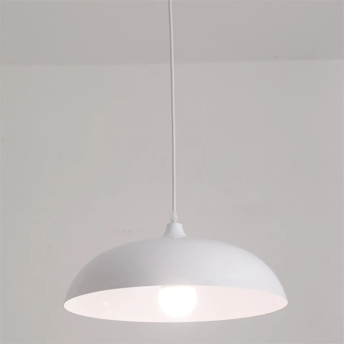 Valentina Metal Colorful Pendant Light