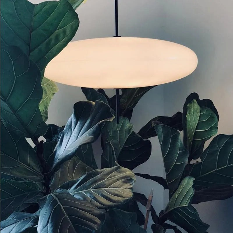 Arisha Nordic Modern Oval Single Pendant Light