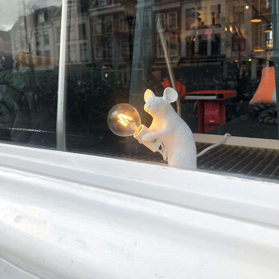 Mirain Resin Whimsical Table Light - Letslighting