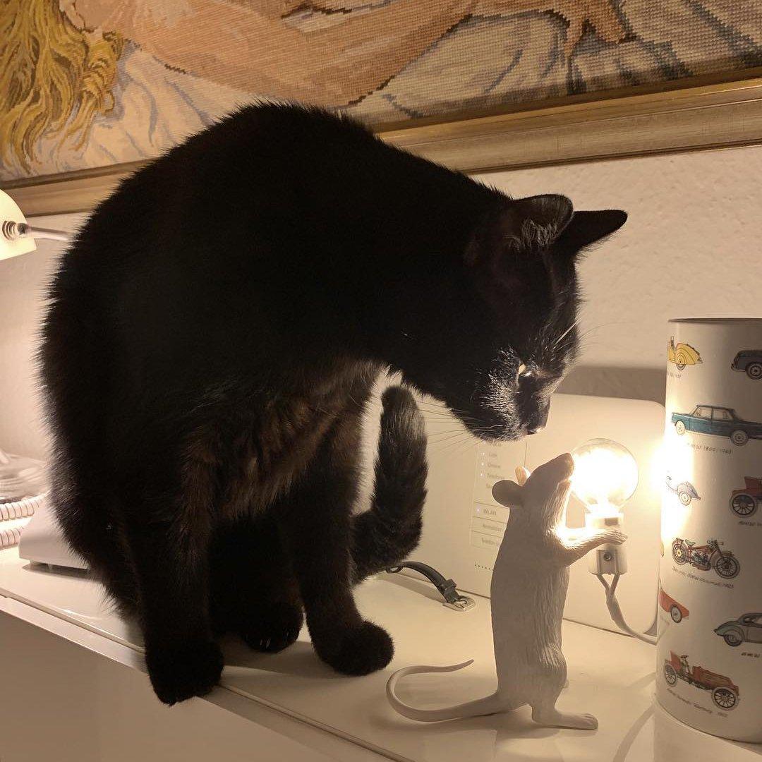 Mirain Resin Whimsical Table Light - Letslighting