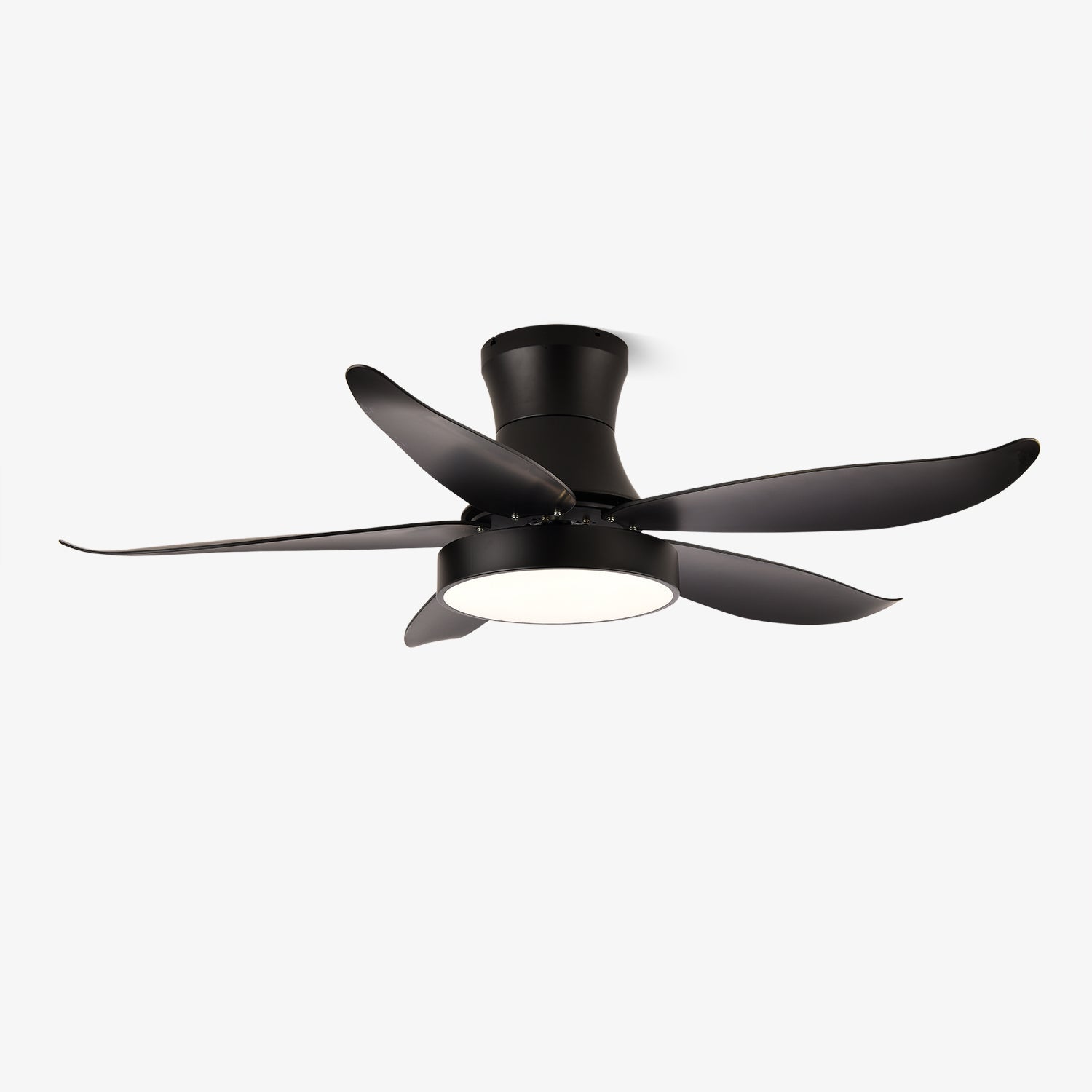 Aveline Modern Black Ceiling Fan Light - Letslighting