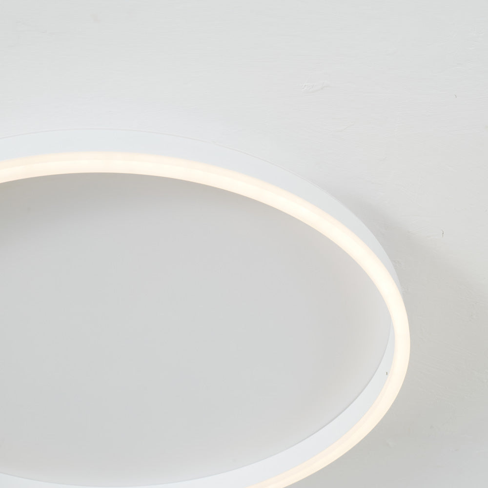 Arisha Modern Flush Mount Ceiling Light Ring - Letslighting