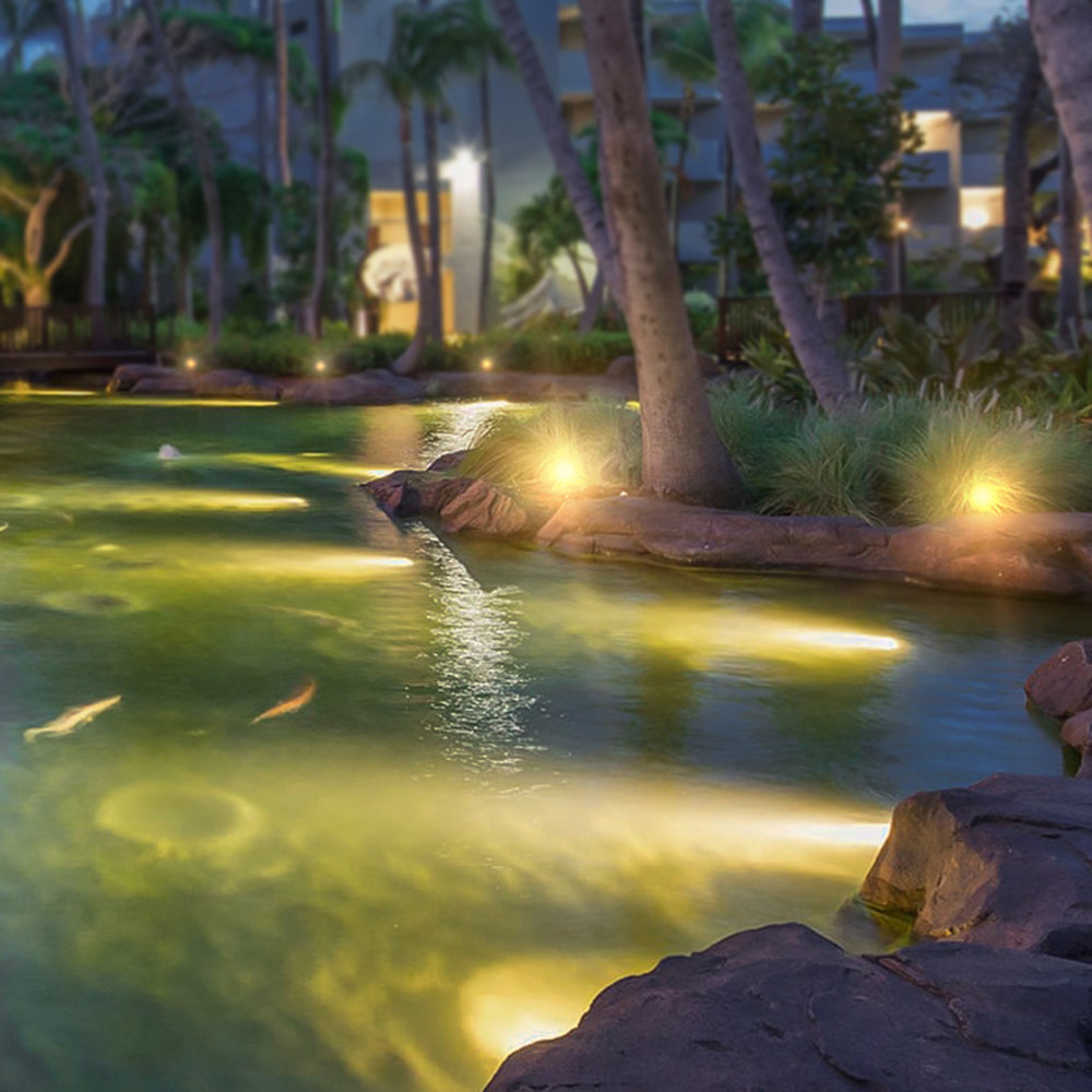 Ray Modern Bell Outdoor Under Water Spotlight