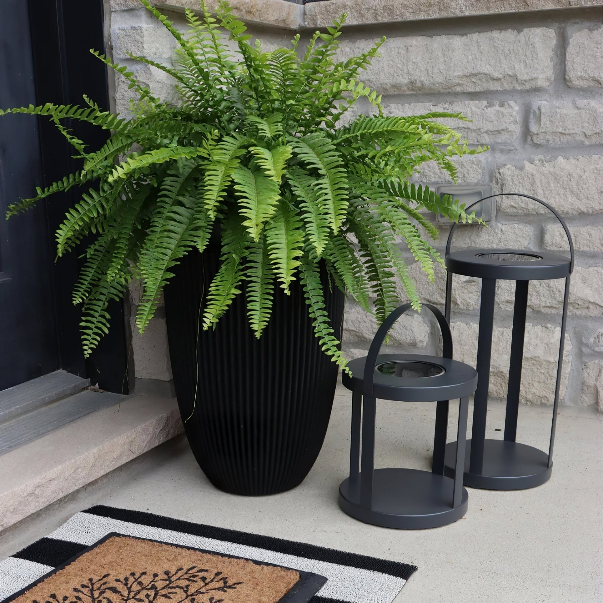 Nuvoro Lantern Outdoor Light - Letslighting