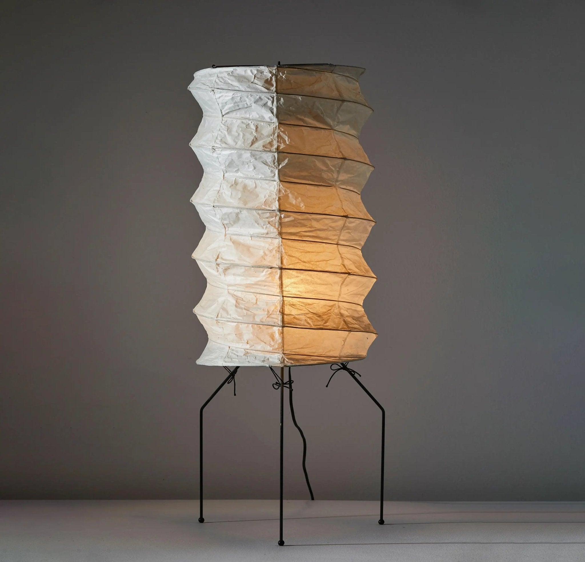 Diego Minimalist Rice Paper Floor Lamp - Letslighting