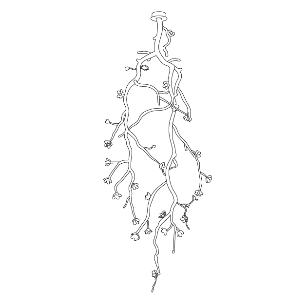 Lustra Chandelier Black Branch Flower - Letslighting