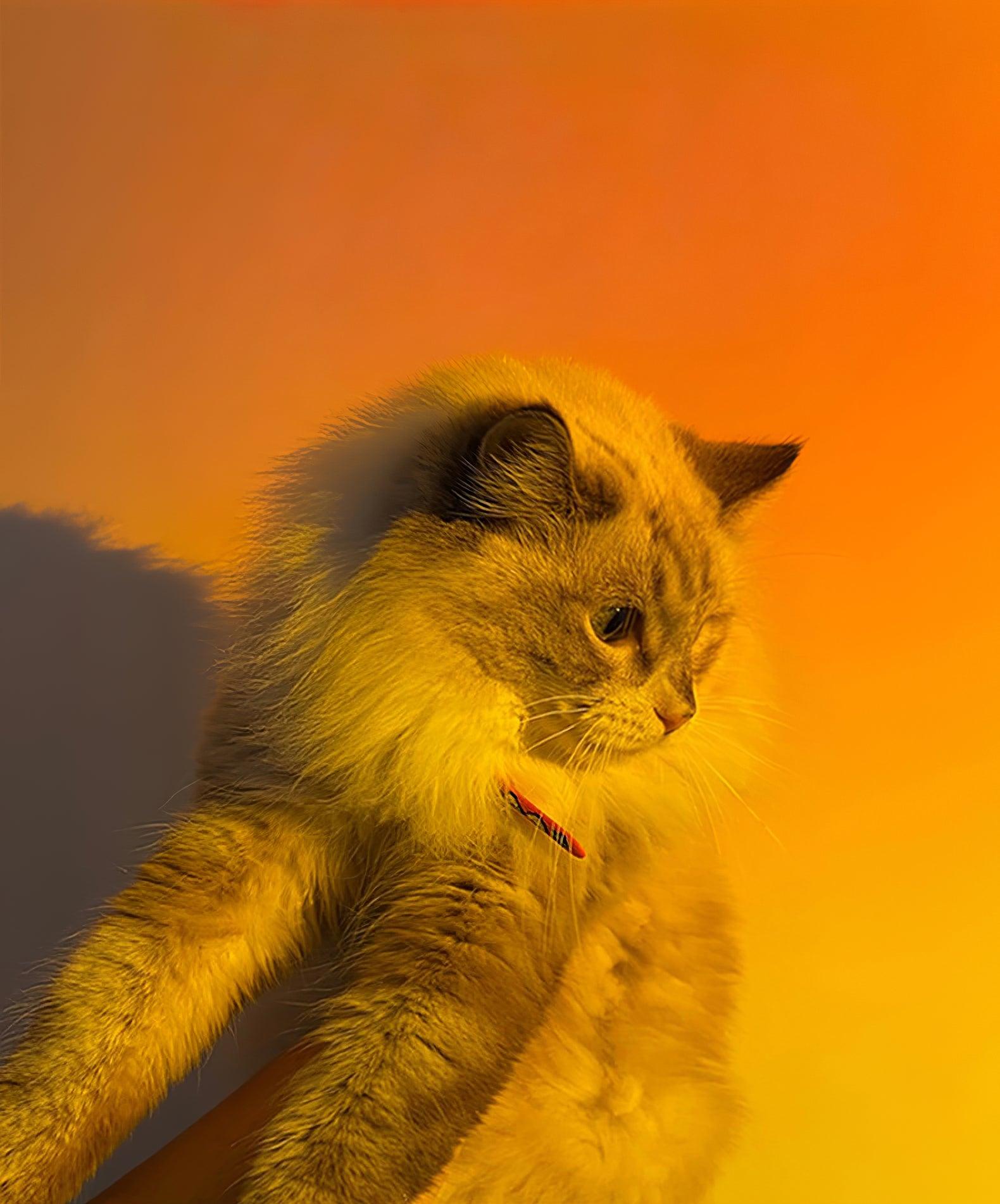 Dominic Modern Table Lamp - Letslighting