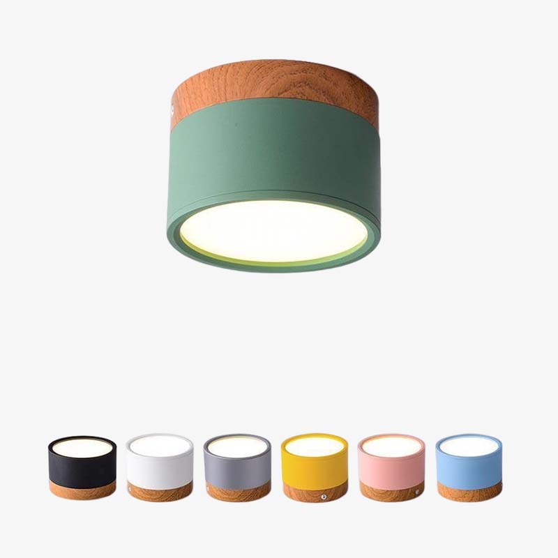 Valentina Modern Cylindrical Metal/Acrylic Flush Mount Ceiling Light Hallway