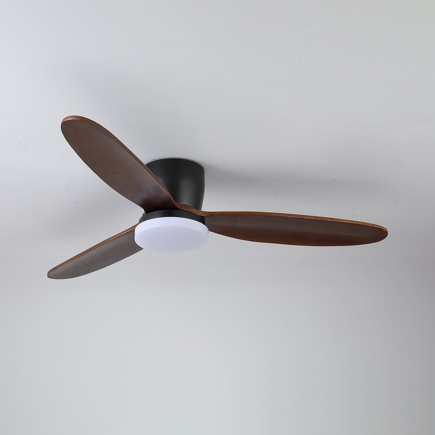 Nocturnus Ceiling Fan Light - Letslighting