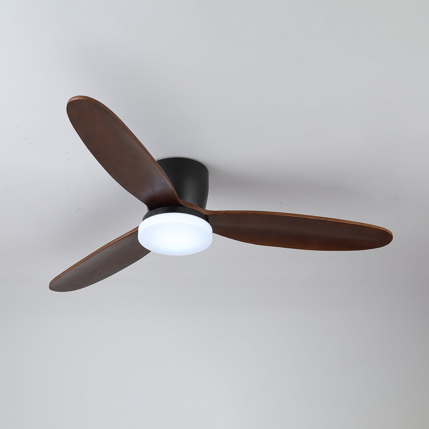 Nocturnus Ceiling Fan Light - Letslighting