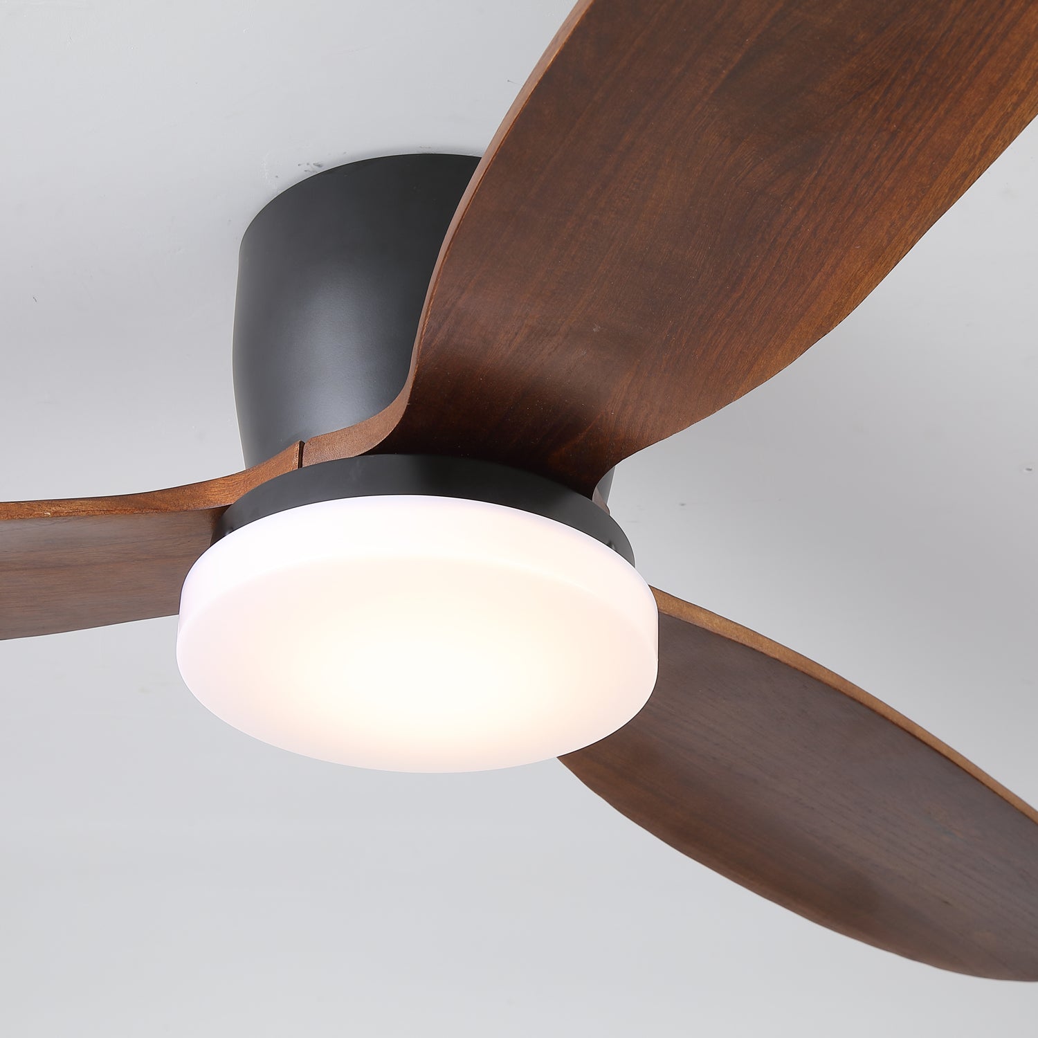 Nocturnus Ceiling Fan Light - Letslighting