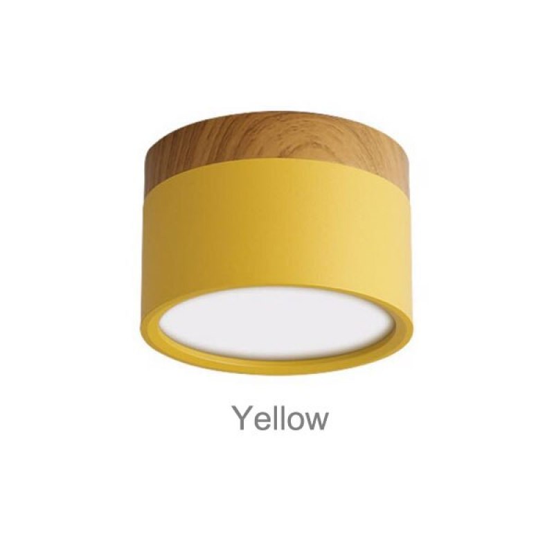 Valentina Modern Cylindrical Metal/Acrylic Flush Mount Ceiling Light Hallway