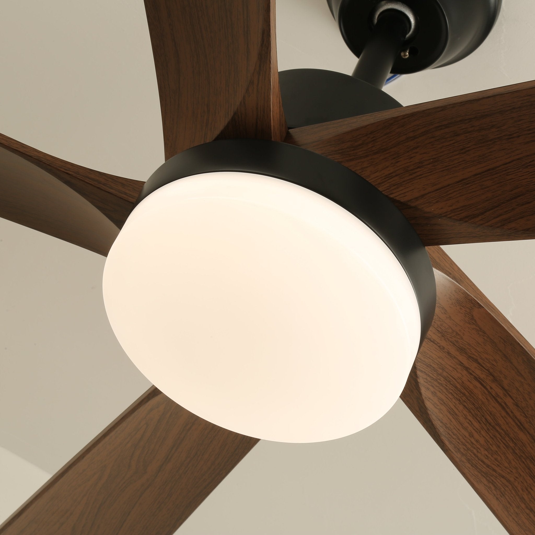 Eryndor Modern Wood Ceiling Fan Light - Letslighting