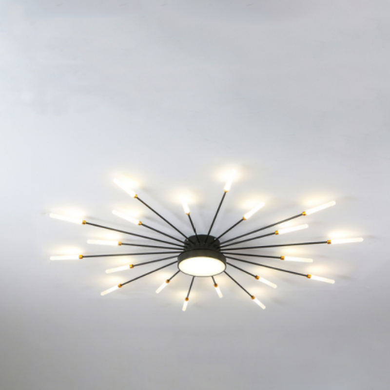 Arisha Modern Home Decoration Fireworks LED Ceiling Light - Letslighting