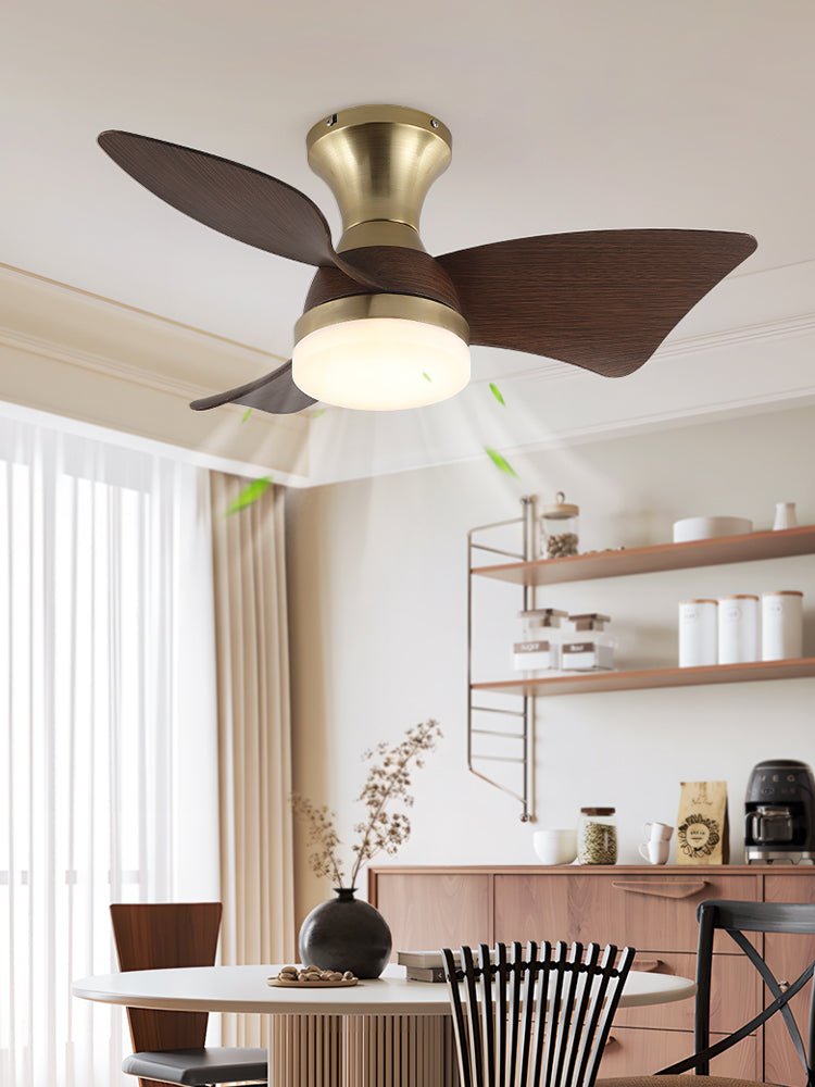 Aureon Modern Wood Ceiling Fan Light - Letslighting