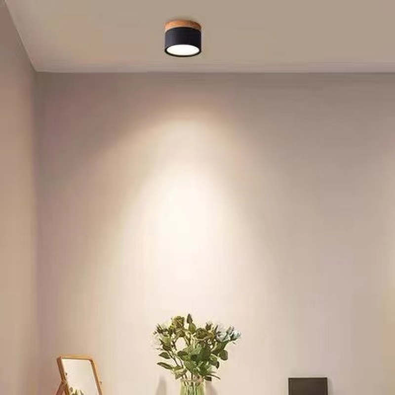 Valentina Modern Cylindrical Metal/Acrylic Flush Mount Ceiling Light Hallway