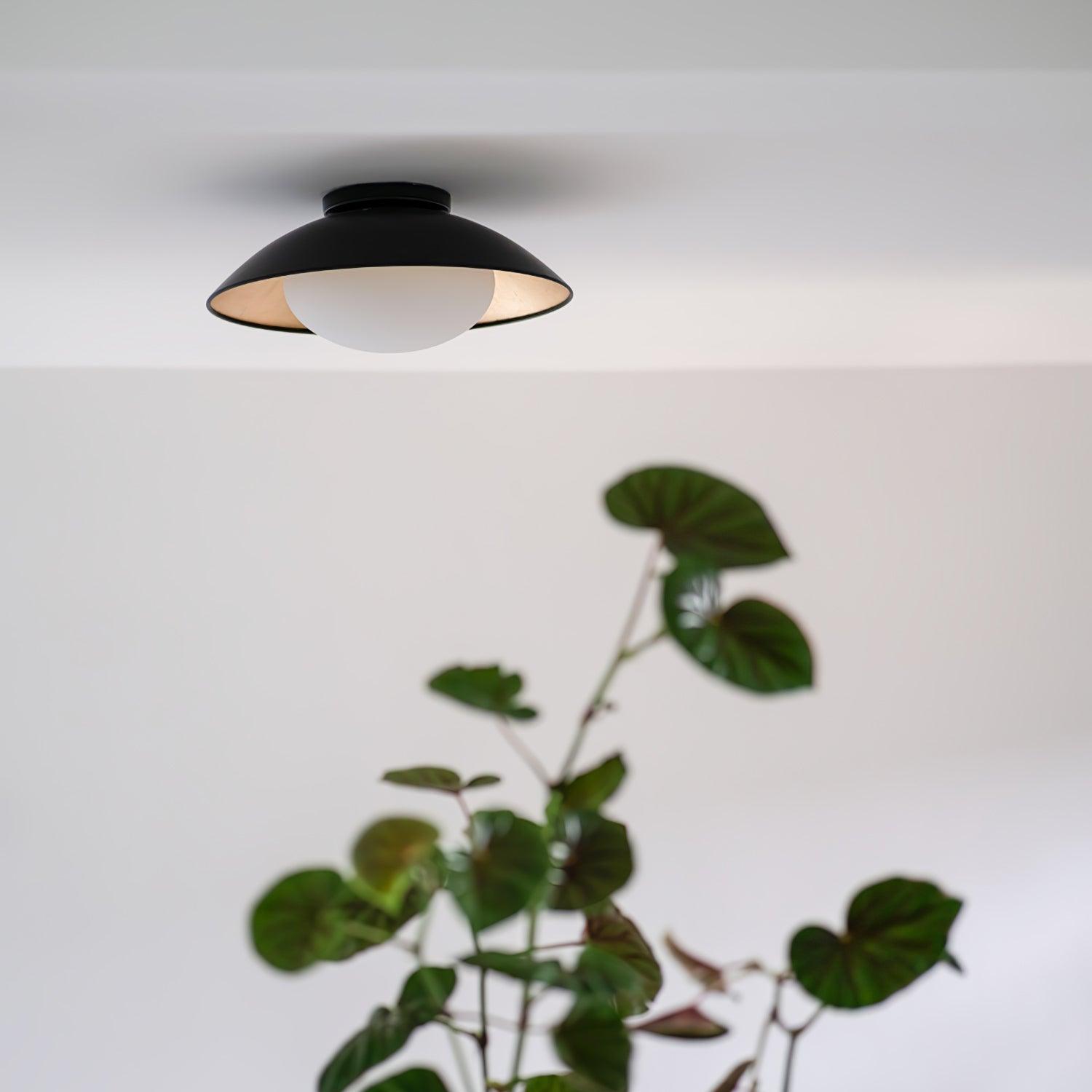 Arinora Ceiling Light