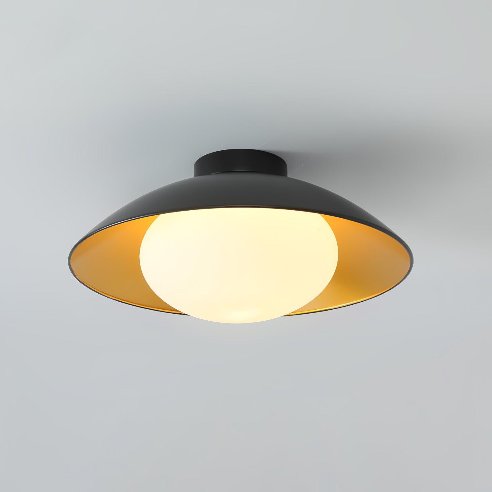 Arinora Ceiling Light