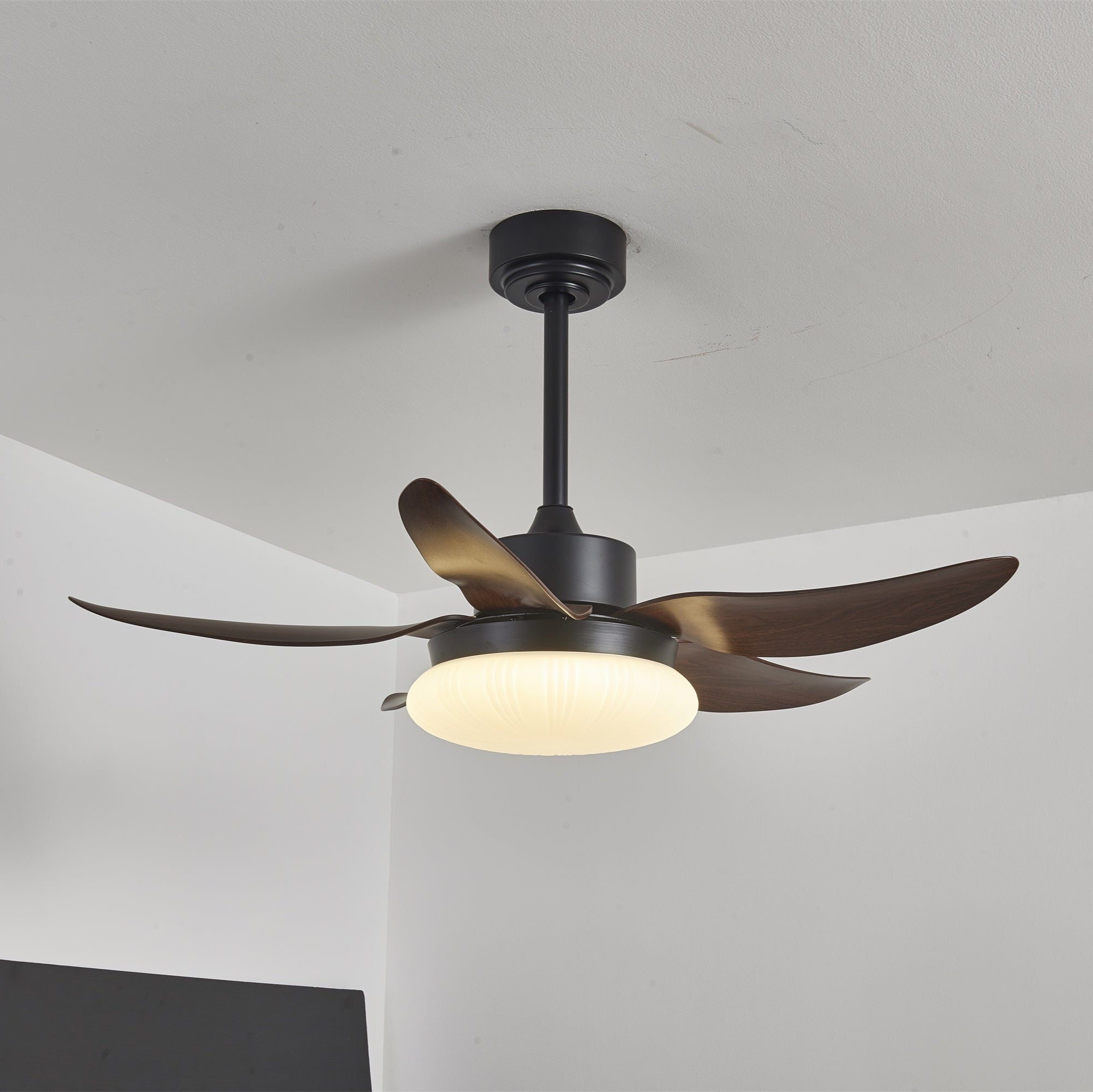 Zerith Modern Wood Ceiling Fan Light - Letslighting