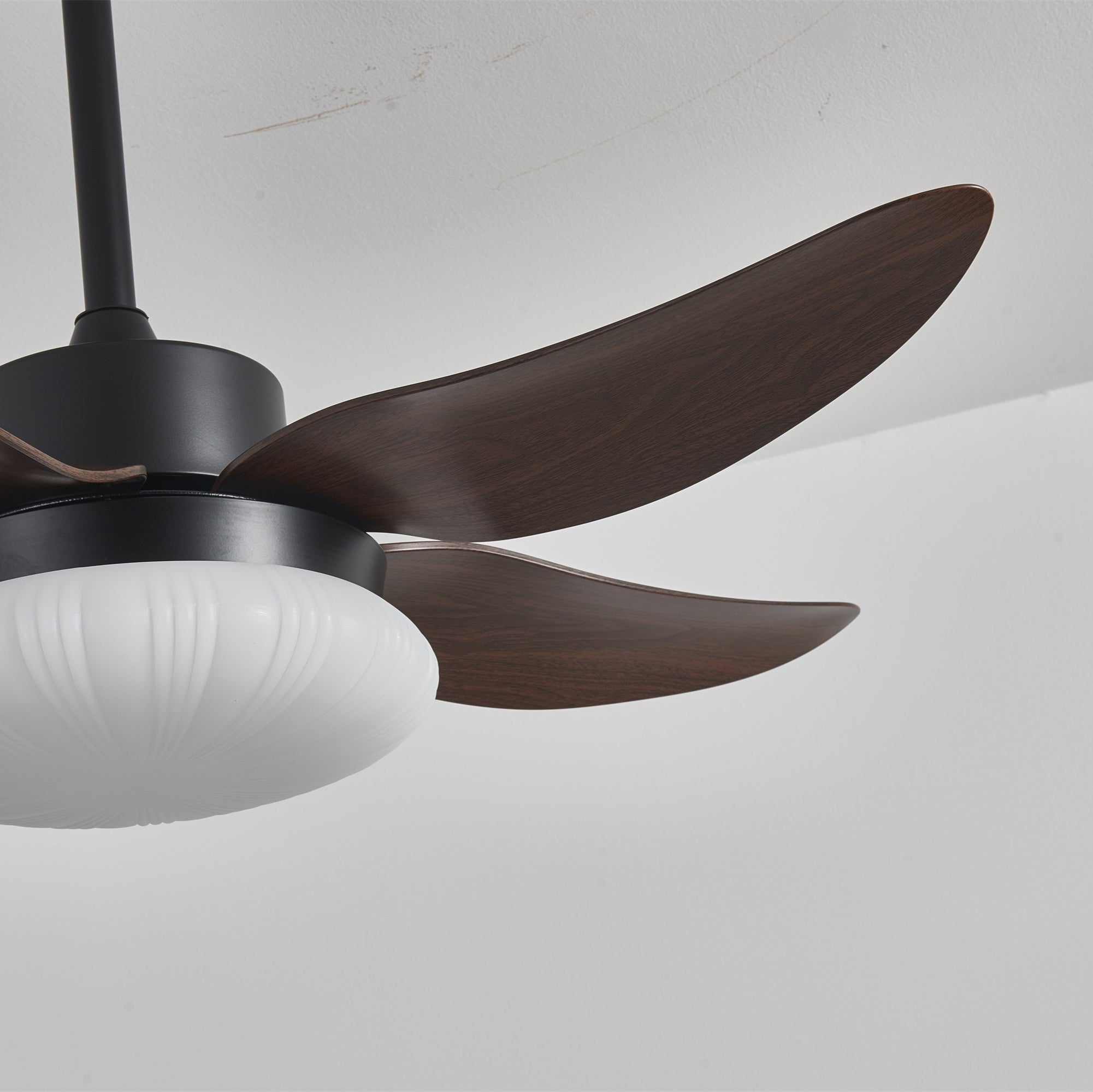Zerith Modern Wood Ceiling Fan Light - Letslighting