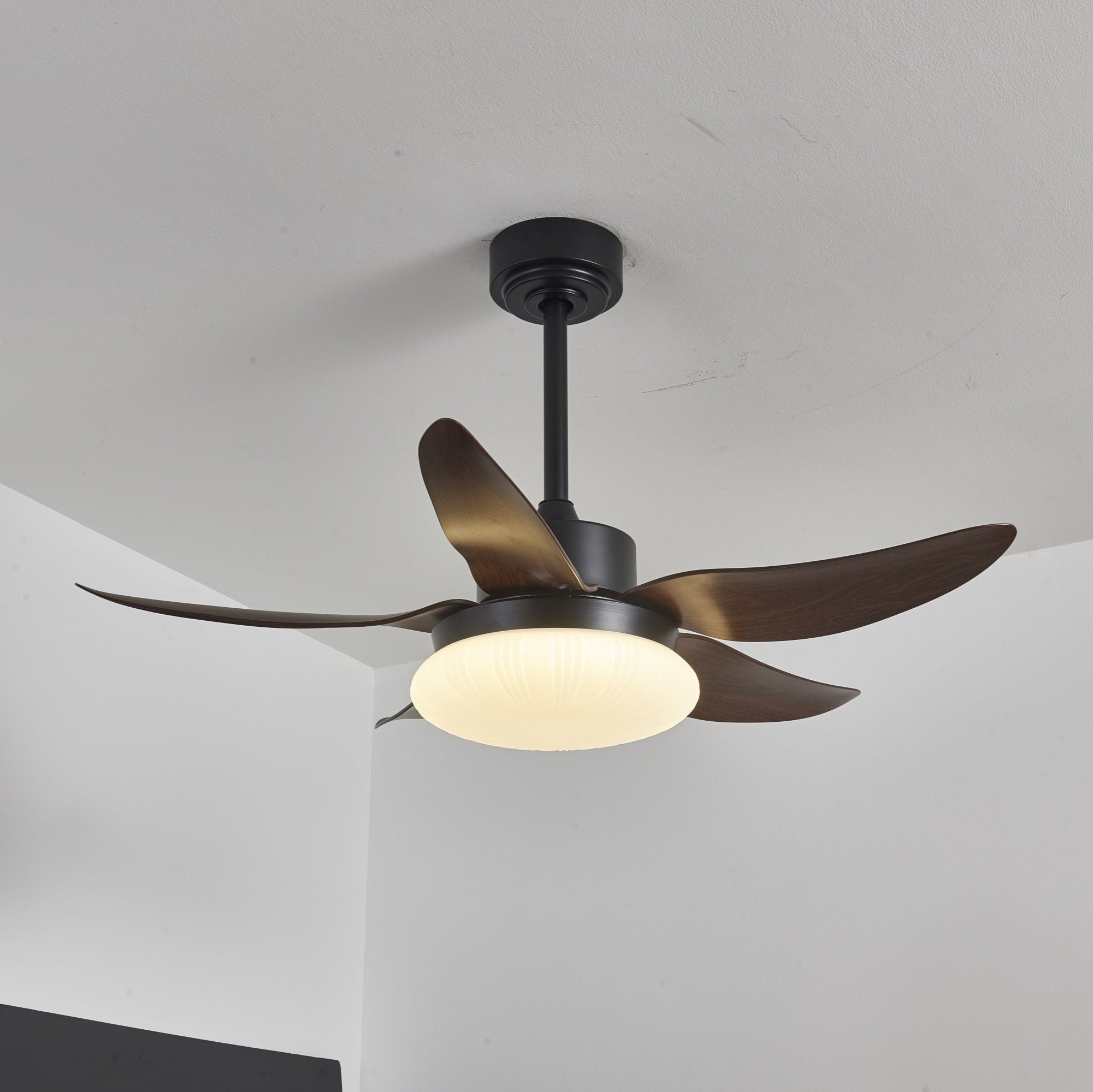 Zerith Modern Wood Ceiling Fan Light - Letslighting