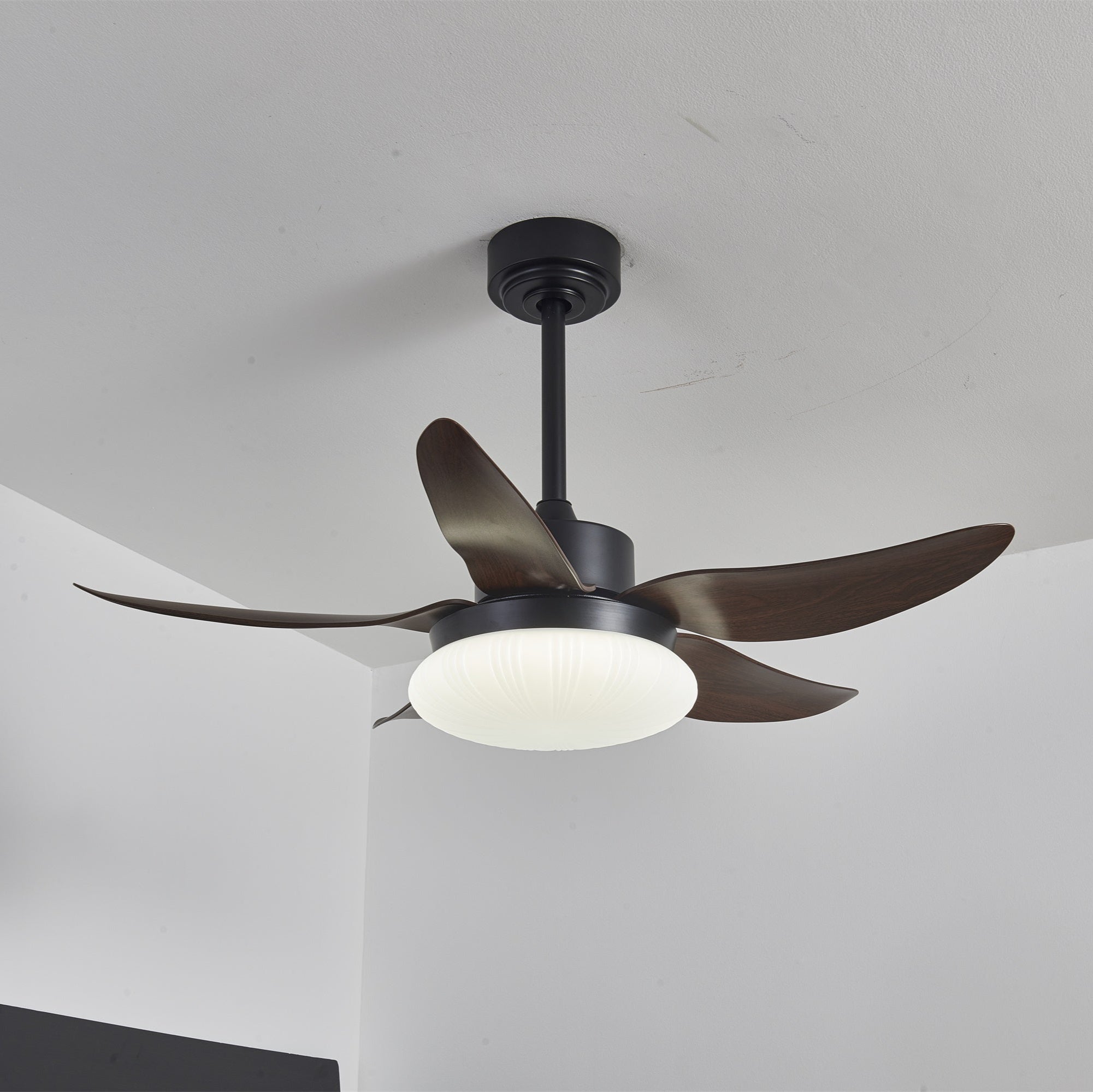 Zerith Modern Wood Ceiling Fan Light - Letslighting