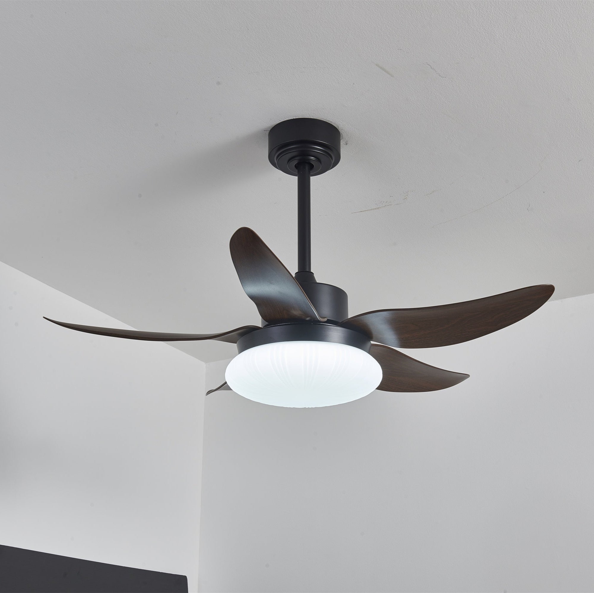 Zerith Modern Wood Ceiling Fan Light - Letslighting
