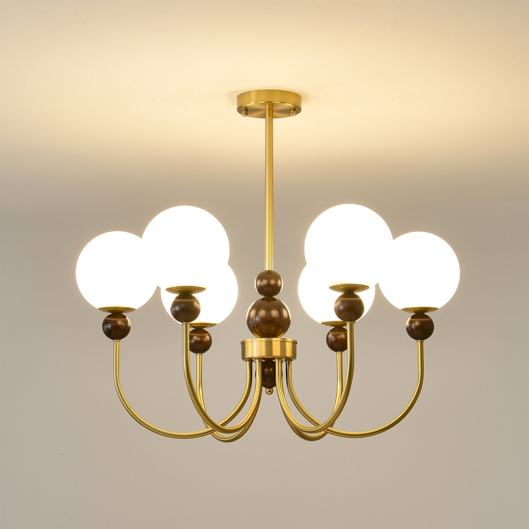 Chandelier Glass Globe Arms Dining Living - Letslighting