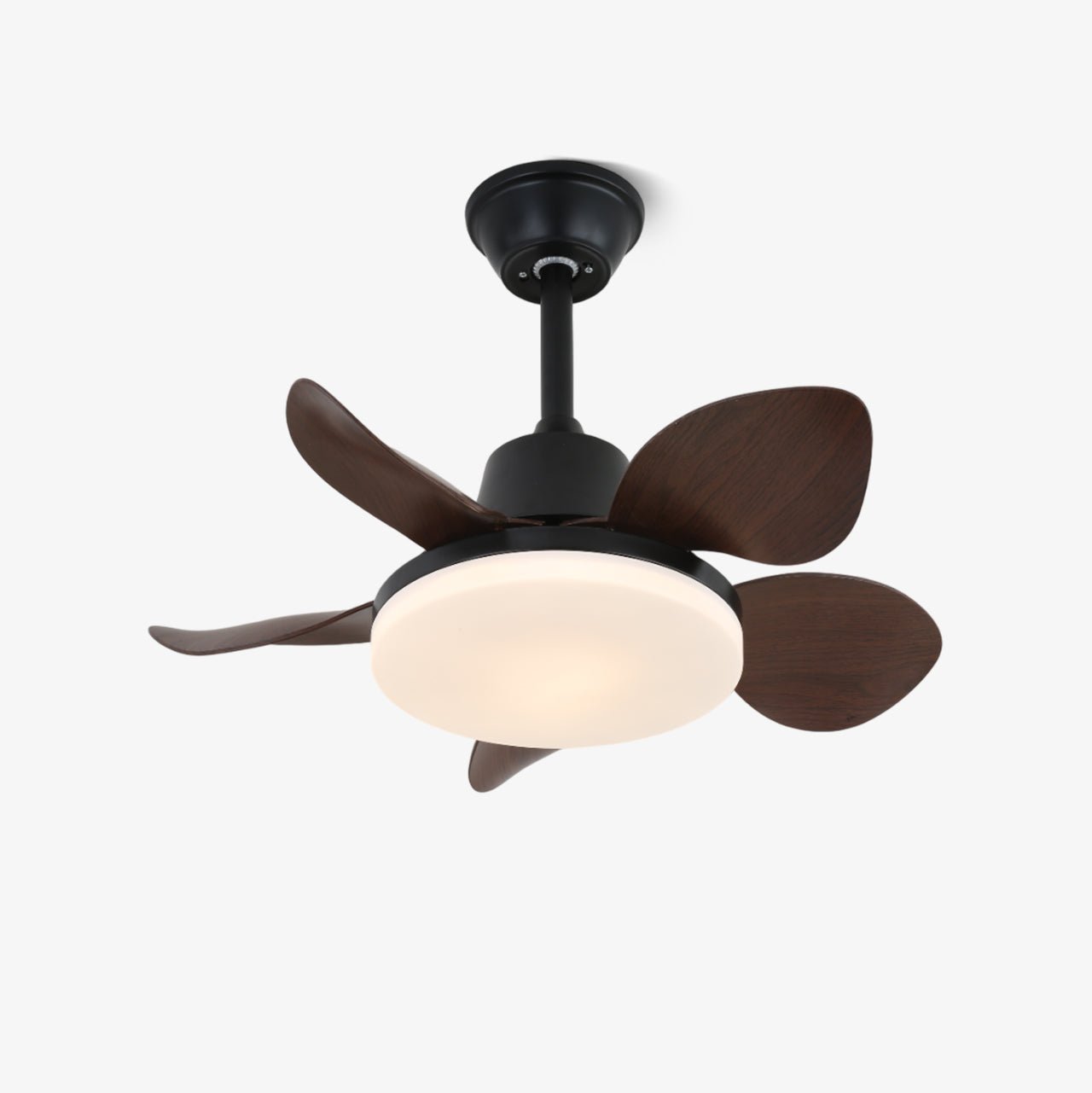 Veyra Modern Wood Ceiling Fan Light - Letslighting