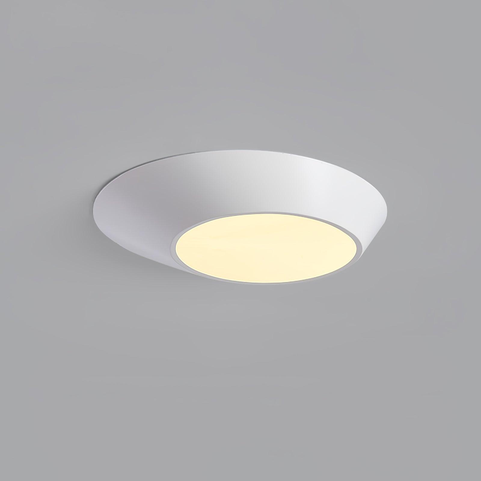 Myrinir Premium Nordic Art Ceiling Light - Letslighting