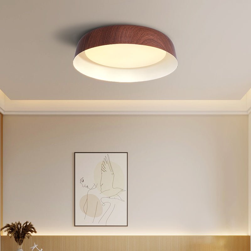 Idorara Modern Minimalist Ceiling Light - Letslighting
