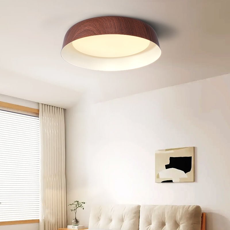 Idorara Modern Minimalist Ceiling Light - Letslighting