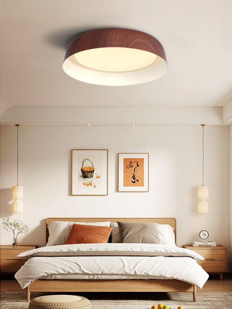 Idorara Modern Minimalist Ceiling Light - Letslighting