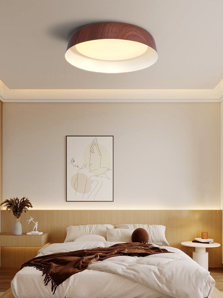 Idorara Modern Minimalist Ceiling Light - Letslighting