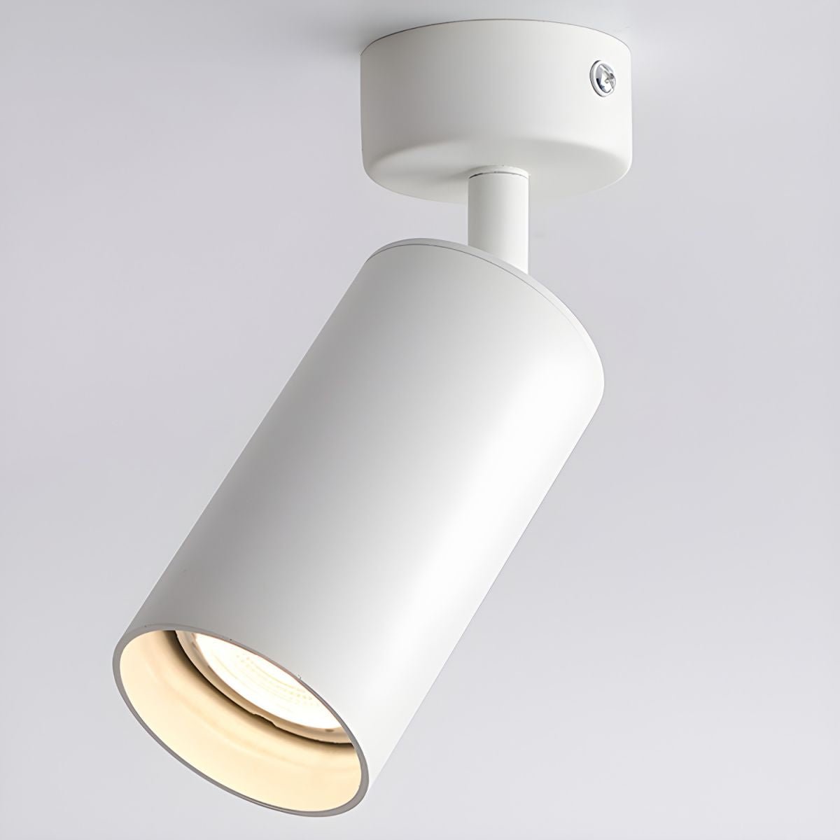 Vosilel Modern Minimalist Spotlight Ceiling lamp - Letslighting