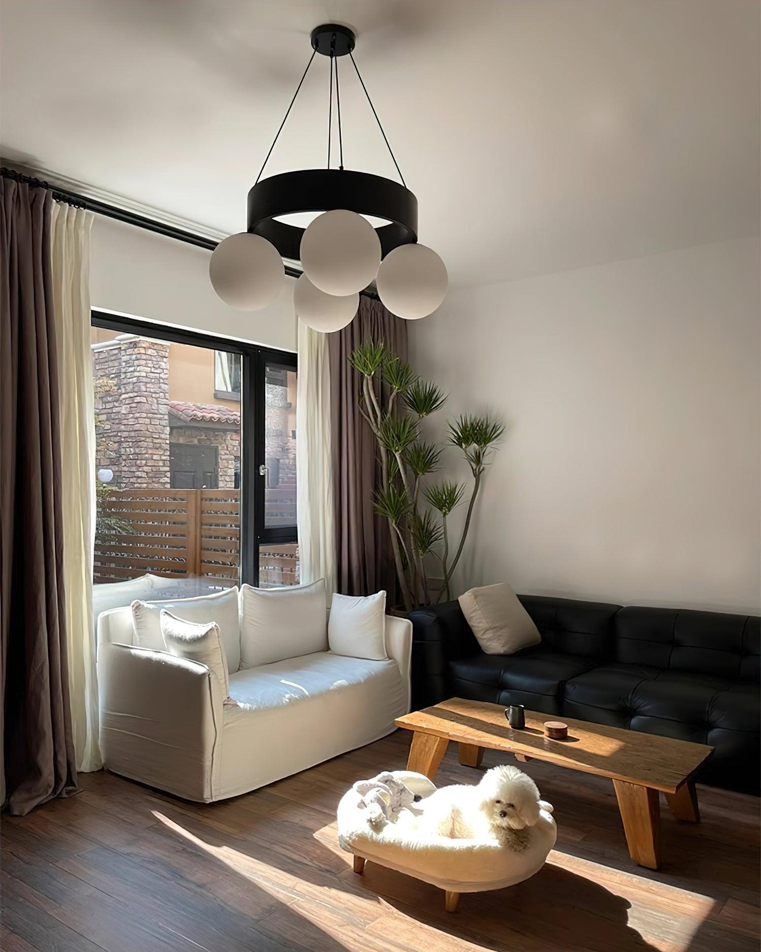 Asterios Chandelier Black Ring Spherical Shades - Letslighting