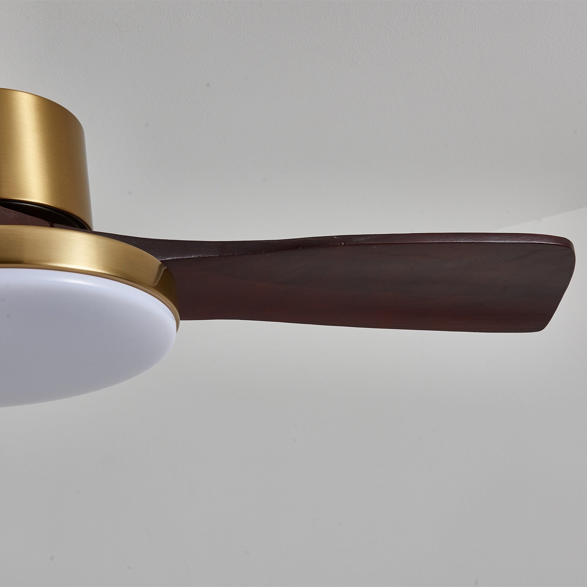 Aurelia Modern Wood Ceiling Fan Light - Letslighting