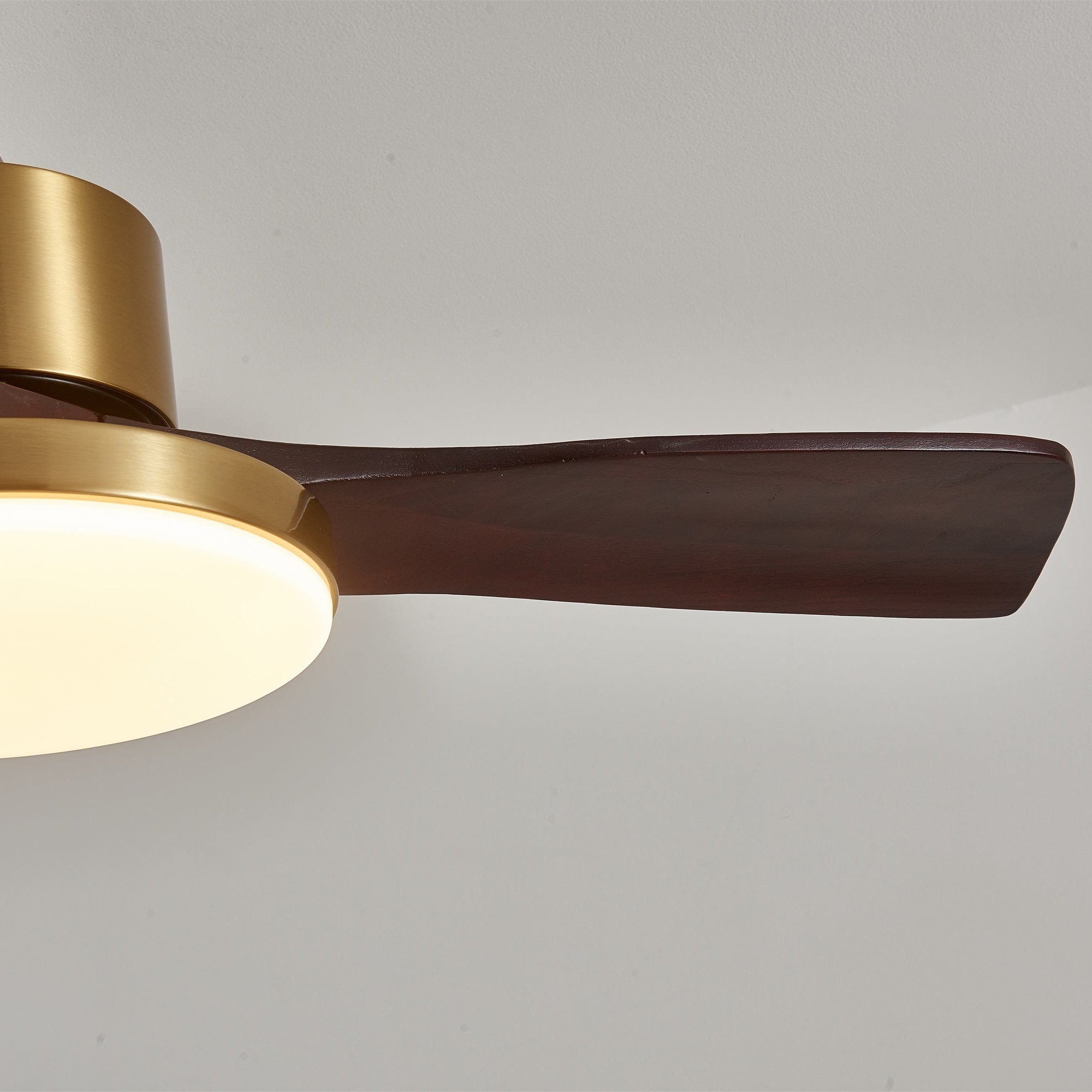 Aurelia Modern Wood Ceiling Fan Light - Letslighting