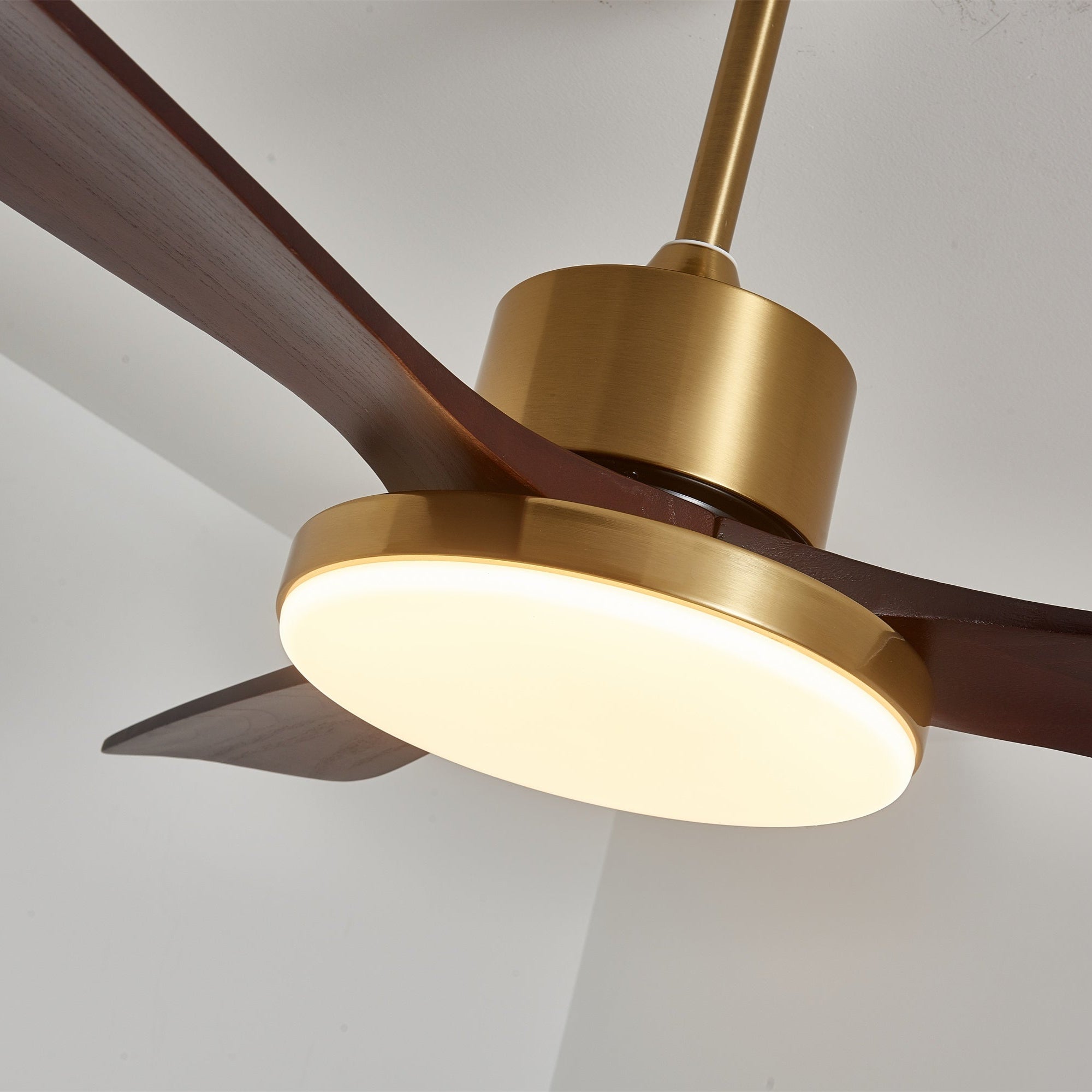 Aurelia Modern Wood Ceiling Fan Light - Letslighting
