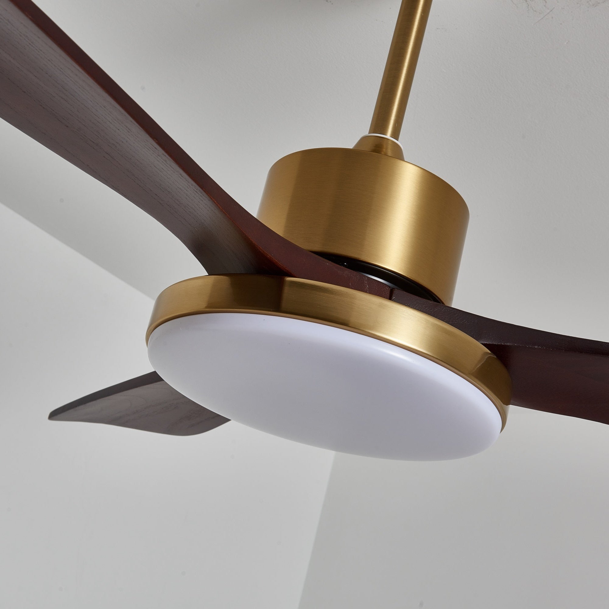 Aurelia Modern Wood Ceiling Fan Light - Letslighting