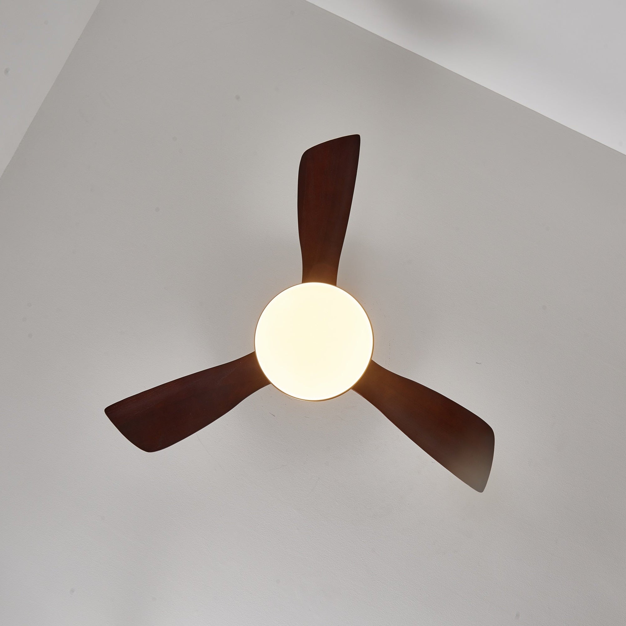 Aurelia Modern Wood Ceiling Fan Light - Letslighting