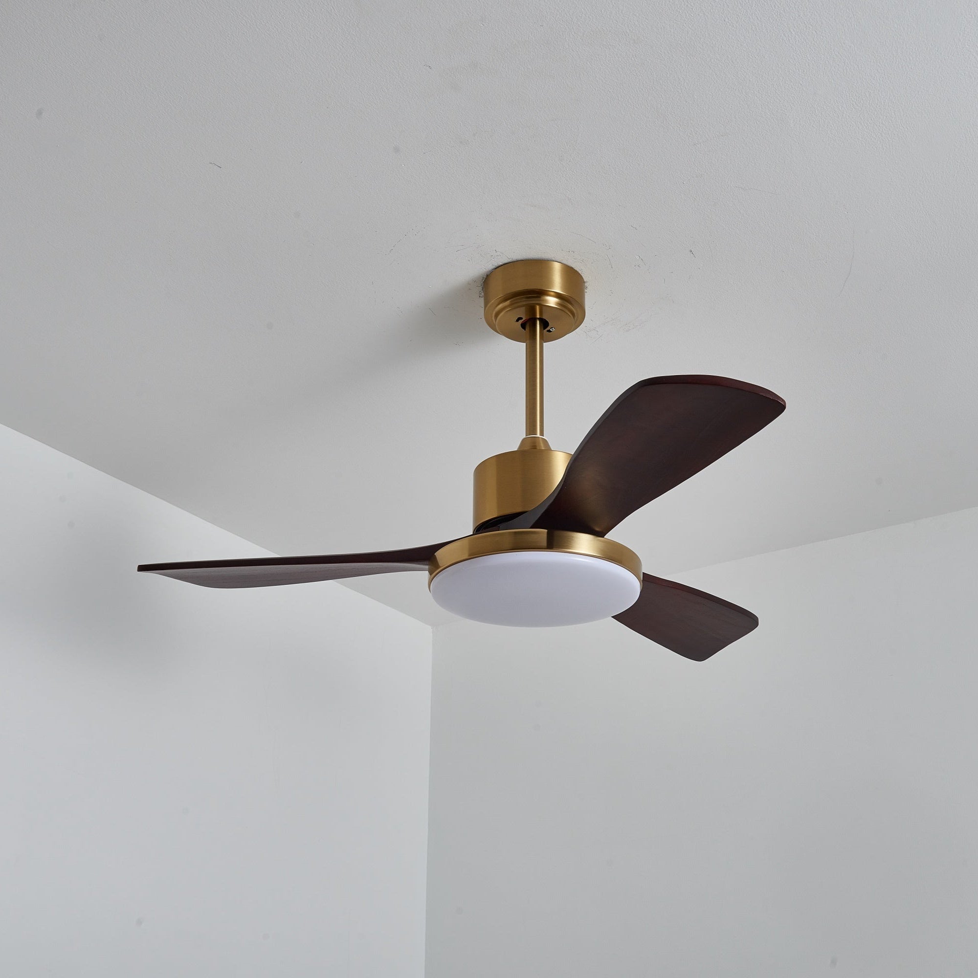 Aurelia Modern Wood Ceiling Fan Light - Letslighting