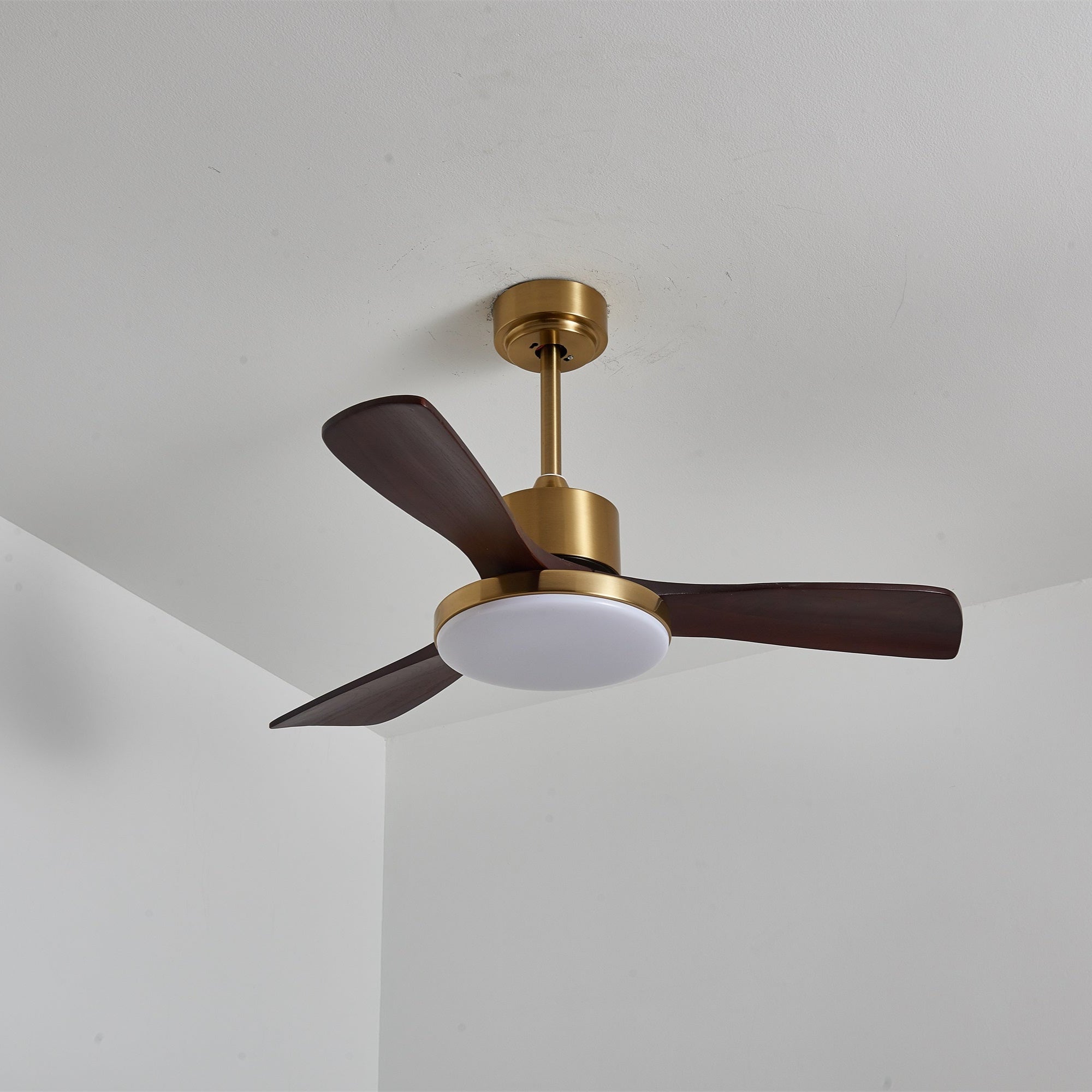 Aurelia Modern Wood Ceiling Fan Light - Letslighting
