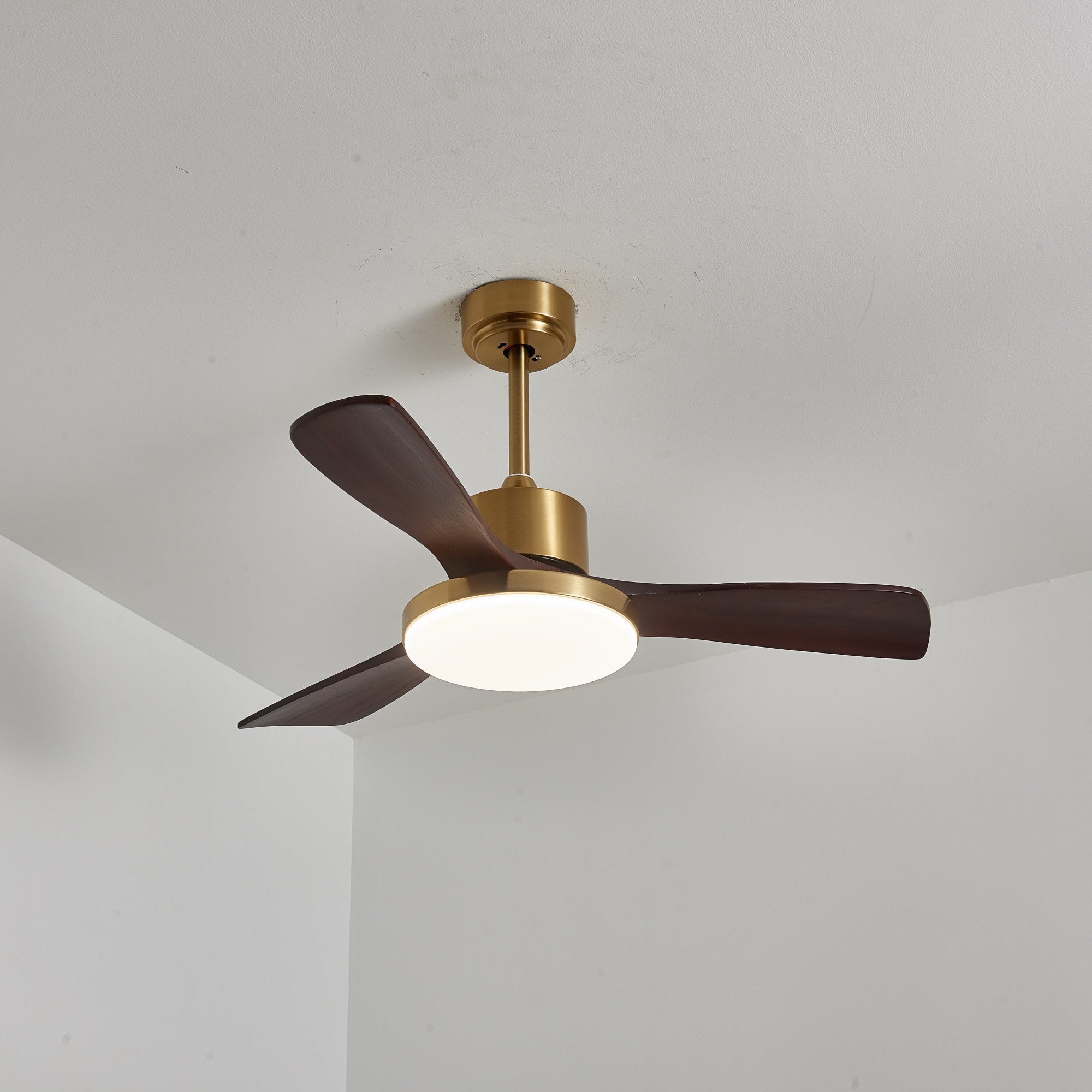 Aurelia Modern Wood Ceiling Fan Light - Letslighting