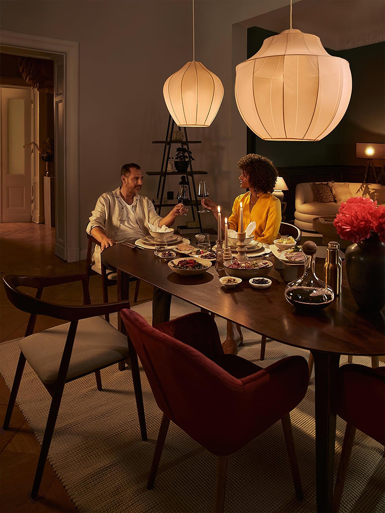 Eraeyra Premium Elegance Mesh Fabric Pendant Light - Letslighting