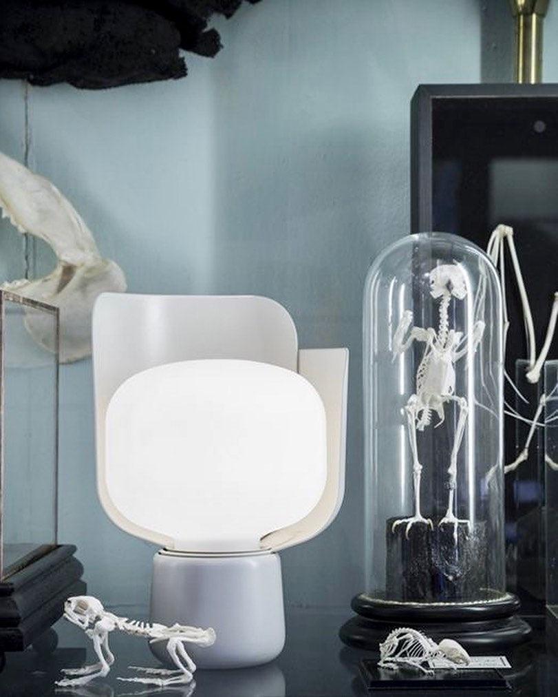 Zuri Plastic Minimalist Table Lamp - Letslighting